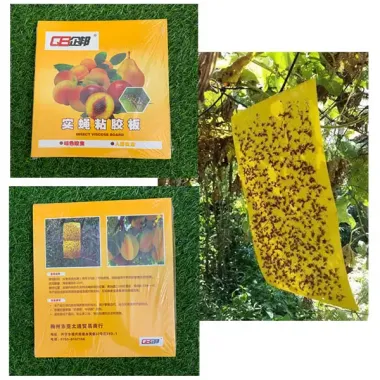Tấm Bẫy Ruồi Vàng Siêu Dính - Diệt Côn Trùng, Rầy, Rệp Giá Rẻ 58k 4 Tấm Bẫy Ruồi Vàng Siêu Dính - Diệt Côn Trùng, Rầy, Rệp Giá Rẻ 58k 4