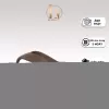 TĂNG SIZE - Dép Kẹp Logo TIPONO LM57 - Đơn Giản - Dép Đúc - Đế Bằng