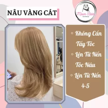 Thuốc Nhuộm Tóc Màu Nâu Vàng Cát [Tặng Kèm Oxy + Chụp Tóc + Găng Tay] 1