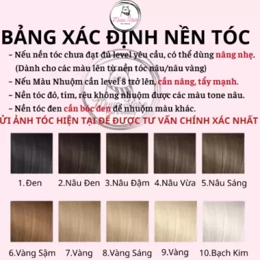 Thuốc Nhuộm Tóc Màu Nâu Vàng Cát [Tặng Kèm Oxy + Chụp Tóc + Găng Tay] 4