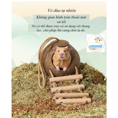 Tổ Chim Sóc Chuột Bọ Bay Có Mái Nhà Vỏ Dừa - Giảm 109k Còn 90k 6 Tổ Chim Sóc Chuột Bọ Bay Có Mái Nhà Vỏ Dừa - Giảm 109k Còn 90k 6