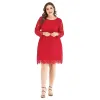 Váy Thêu Ren Giảm Giá Khủng - Phù Hợp Người Mập, Size Lớn, Giá Chỉ 613k 4