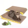 Bảng Cào Móng Mèo Lớn Siêu Bền - Giá Chỉ 172.760đ, Giao Nhanh HCM & Long An 5