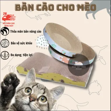 Bảng Cào Móng Mèo Lớn Siêu Bền - Giá Chỉ 172.760đ, Giao Nhanh HCM & Long An 6