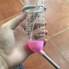 Bình Nước Bi 250ml Chất Lượng Giá Cực Sốc Chỉ 25k - Giảm 30% 4