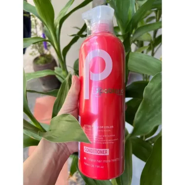 Bộ Gội Xả Pabland Chống Gàu Dưỡng Ẩm Tóc Hư Tổn Giá 350k Giảm 20% 3