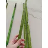Cần câu tay rút trúc xanh 2m7,3m6,4m5,5m4,6m3 kèm bộ phụ kiện siêu tiện lợi
