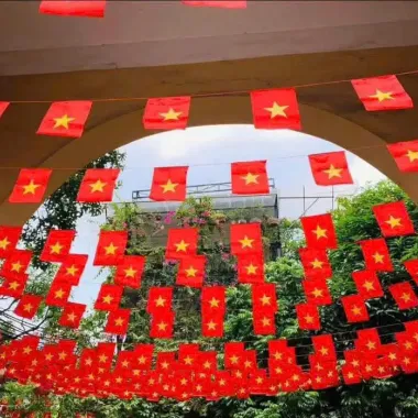 Cờ Dây Tổ Quốc Đảng 2 Mặt In Lụa Satanh 10m Giá Rẻ 68000đ Trang Trí 3