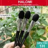Cọ Sephora 73 đánh má hồng highlight phủ lông mềm chuyên dùng cho makeup chuyên nghiệp HALOMI