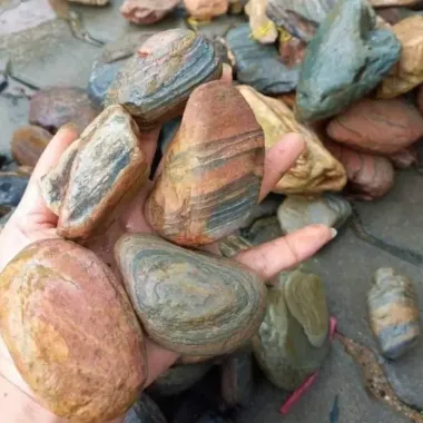 Đá Cuội Vân Mây 1kg Trang Trí Bể Cá Thủy Sinh - Giảm 20% Còn 25k 6