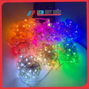 Dây led đúc F20 đơn sắc, điện áp 12V, chống nước ngooài trời, dùng trang trí viền tòa nhà, biển quảng cáo 1