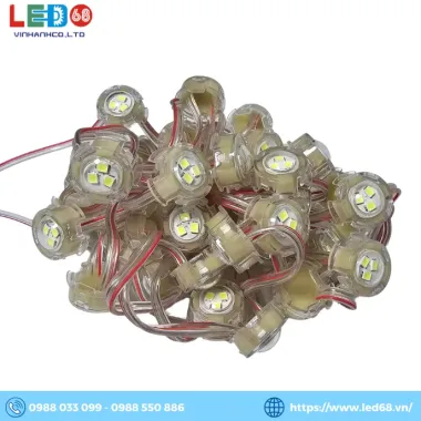 Dây led đúc F20 đơn sắc, điện áp 12V, chống nước ngooài trời, dùng trang trí viền tòa nhà, biển quảng cáo 3