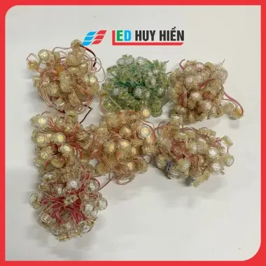 Dây led đúc F20 đơn sắc, điện áp 12V, chống nước ngooài trời, dùng trang trí viền tòa nhà, biển quảng cáo 5