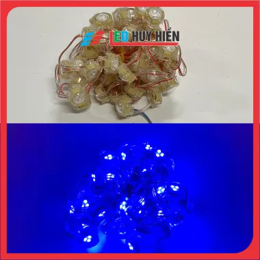 Dây led đúc F20 đơn sắc, điện áp 12V, chống nước ngooài trời, dùng trang trí viền tòa nhà, biển quảng cáo 6