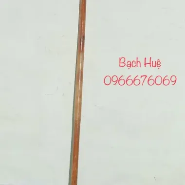 Gậy Mây Cho Người Già - Gậy Batoong Chống Rẻ 150k Thay 192k! 1