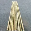 Gậy Tục Gốc Trúc Tự Nhiên Giảm Giá - Mua Ngay 150k Thay Vì 192k 3