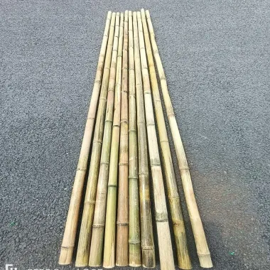 Gậy Tục Gốc Trúc Tự Nhiên Giảm Giá - Mua Ngay 150k Thay Vì 192k