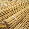 Gậy Tục Gốc Trúc Tự Nhiên Giảm Giá - Mua Ngay 150k Thay Vì 192k 6