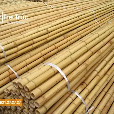 Gậy Tục Gốc Trúc Tự Nhiên Giảm Giá - Mua Ngay 150k Thay Vì 192k 6 Gậy Tục Gốc Trúc Tự Nhiên Giảm Giá - Mua Ngay 150k Thay Vì 192k 6