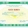 Giấy khen tùy chỉnh TH-THCS-THPT giá rẻ chỉ 60k - Thiết kế riêng đẹp mắt 4