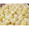 Hạt Sen Huế Giá Rẻ - Mua 53k 500gr Ăn Mứt Tết, Nguyên Liệu Bánh Trung Thu Chất Lượng Cao