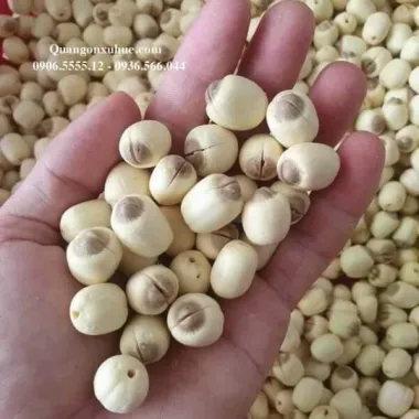 Hạt Sen Tươi Huế Loại 1 - Giảm 20% còn 155000đ/1kg, Tươi Ngon, Giao Toàn Quốc 3
