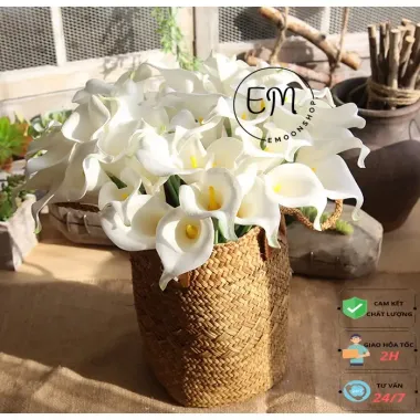 Hoa Giả Calla Lily EVA Tay Cảm Giác - Trang Trí Bàn, Hoa Nhân Tạo Cầm Tay Giá Rẻ 30999đ 4