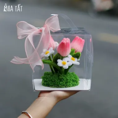 Hộp Hoa Tulip Kẽm Nhung Bã Mía - Mua Tất Giảm Sốc 20% Chỉ 20158đ