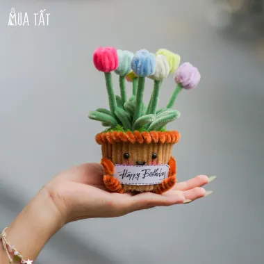 Hộp Hoa Tulip Kẽm Nhung Bã Mía - Mua Tất Giảm Sốc 20% Chỉ 20158đ