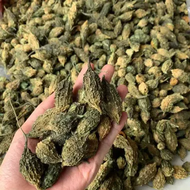 Khổ Qua Rừng Sấy Khô 1kg - Mướp Đắng Giảm Cân, Thanh Nhiệt Loại 1 Giá Tốt 145000đ
