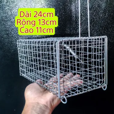 Lồng Bẫy Chuột Cống Nhum Sóc Bìm Bịp 30x16x14cm Giá Rẻ 75k Thay 95250 Vnđ