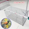 Lồng Bẫy Chuột Cống Nhum Sóc Bìm Bịp 30x16x14cm Giá Rẻ 75k Thay 95250 Vnđ 3