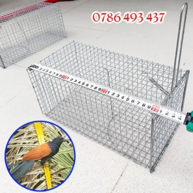 Lồng Bẫy Chuột Cống Nhum Sóc Bìm Bịp 30x16x14cm Giá Rẻ 75k Thay 95250 Vnđ