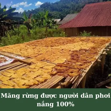 Măng Khô Tây Bắc Siêu Non - Măng Mầm Non Phơi Nắng Tự Nhiên Hà Giang Giá Tốt 105000đ 4 Măng Khô Tây Bắc Siêu Non - Măng Mầm Non Phơi Nắng Tự Nhiên Hà Giang Giá Tốt 105000đ 4