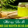 Mật Ong Bạc Hà Hà Giang Nguyên Chất Giá Rẻ - Giảm 22% còn 74400đ 1