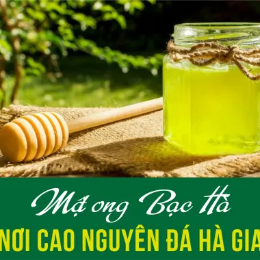 Mật Ong Bạc Hà Hà Giang Nguyên Chất Giá Rẻ - Giảm 22% còn 74400đ