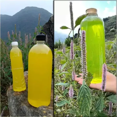 Mật Ong Bạc Hà Hà Giang Nguyên Chất Giá Rẻ - Giảm 22% còn 74400đ