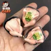 Mô hình Mực ống tí hon mini DIY giá rẻ - Đồ ăn cho búp bê chỉ 55000đ 5