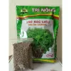 Ngò Tím Bạc Liêu Siêu Thơm - 0.5 Lạng - Giá Tốt 10.000Đ (Giảm từ 12.100Đ)