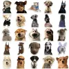 Nhãn dán Cheems Doge Meme Chó Vui Nhộn chống nước - Dán bàn học, mũ bảo hiểm - Giá chỉ 24k! 1