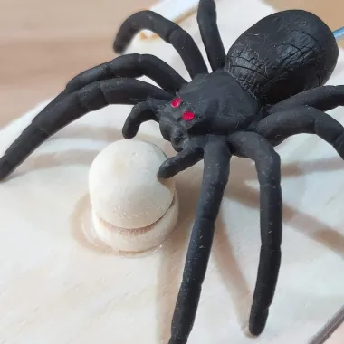 Nhện Prank Hộp Đáng Sợ - Trò Đùa Halloween Giảm Giá 22% Chỉ 29700đ