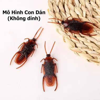 Nhện Prank Hộp Đáng Sợ - Trò Đùa Halloween Giảm Giá 22% Chỉ 29700đ