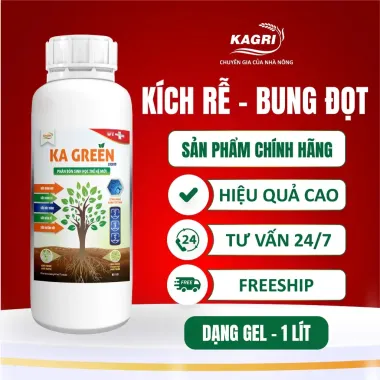 Phân Bón Sinh Học KA GREEN LIQUID GEL 1L - Kích Rễ, Bung Đọt, Xanh Lá Giá Tốt 370k