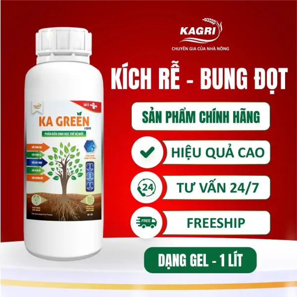 Hình ảnh sản phẩm Phân Bón Sinh Học KA GREEN LIQUID GEL 1L - Kích Rễ, Bung Đọt, Xanh Lá Giá Tốt 370k