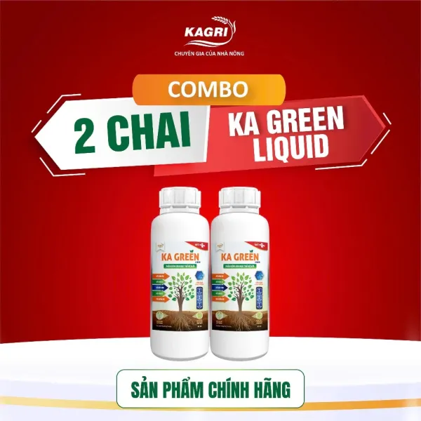 Cách sử dụng Phân Bón Sinh Học KA GREEN LIQUID GEL 1L để kích thích ra rễ và bung đột