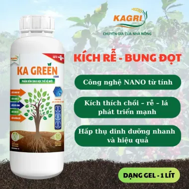 Phân Bón Sinh Học KA GREEN LIQUID GEL 1L - Kích Rễ, Bung Đọt, Xanh Lá Giá Tốt 370k