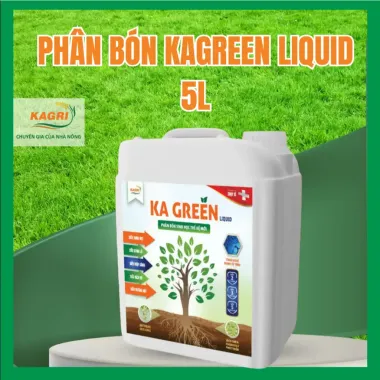 Phân Bón Sinh Học KA GREEN LIQUID GEL 1L - Kích Rễ, Bung Đọt, Xanh Lá Giá Tốt 370k