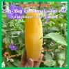 Sâm đất Lào Cai tự nhiên đặc sản, 2-5kg, giảm giá còn 56000đ/kg, mua ngay tiết kiệm 5