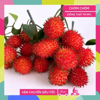 Trái Cây Giả Chôm Chôm Nhựa Decor 10 Chùm Giá Rẻ Chỉ 680k Thay 829k 3