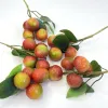 Trái Cây Giả Chôm Chôm Nhựa Decor 10 Chùm Giá Rẻ Chỉ 680k Thay 829k 4